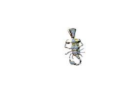 Jordan Jewelers 10kt gold Natural diamond charm 0.88 Ctw