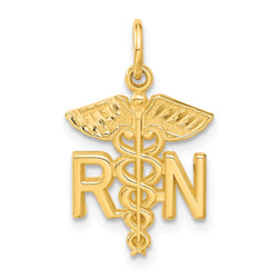 14k RN Nurse Charm