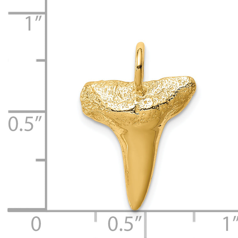 14K Shark Tooth Pendant