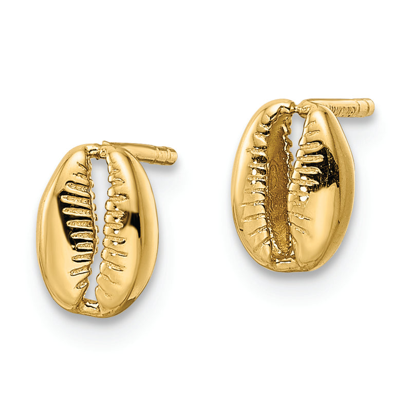 14k Polished Shell Post Earrings